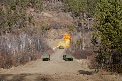 Борзя потери