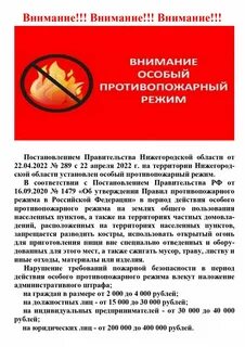 Постановление об особом противопожарном режиме 2024