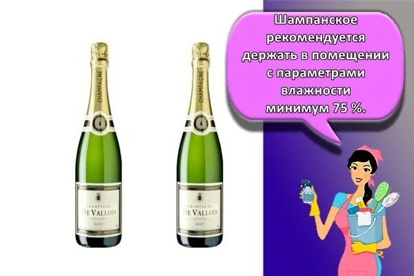 Рок годности шмпанского. Срок годности шампанского. Условия хранения шампанского. Шампанское срок годности.