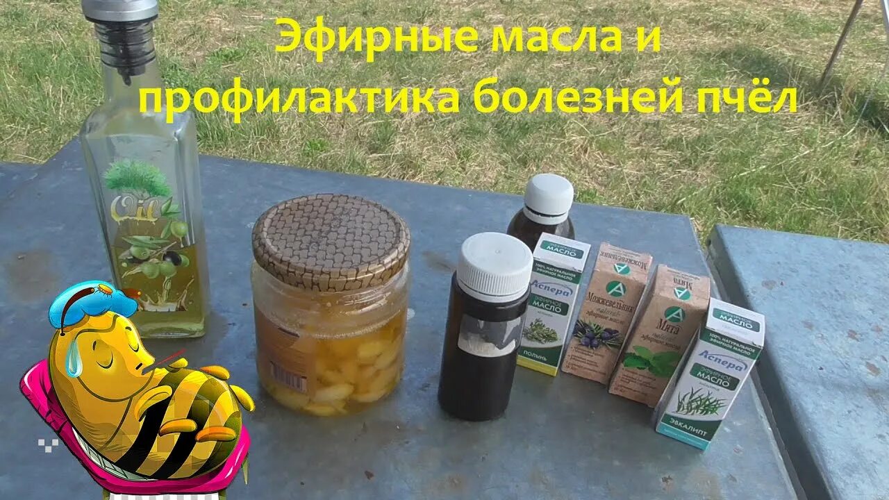 Профилактика болезней пчел. Эфирные масла для пчел. Лекарства пчелопродуктов. Пихтовое масло для пчел