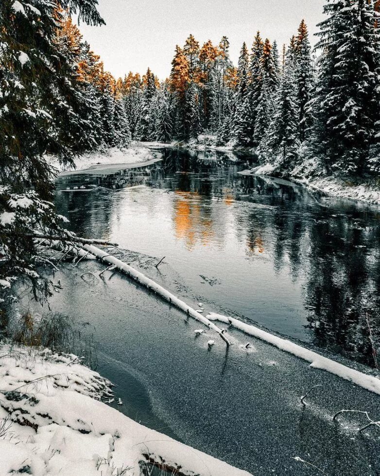 Преддверие зимы