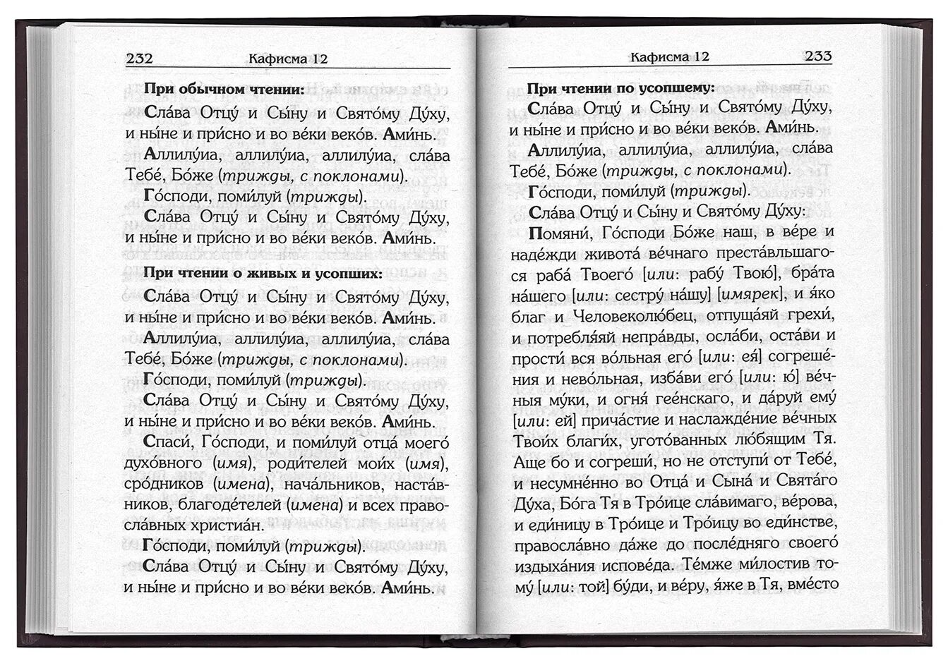 Какие молитвы читать новопреставленном. Молитвы по псалтырю.. Порядок чтения Псалтири по усопшим. При чтении Псалтыри. Молитва при чтении Псалтири по усопшим.