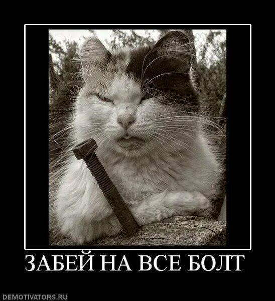 А нет забей. Картинка забей. забил картинка прикольная. картинка забить на все. болт демотиватор.