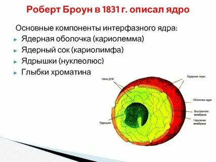 Главный элемент в ядре