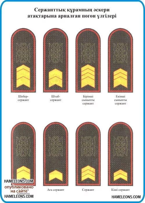 Воинские звания РК МВД. Звания в Казахстане военные. Звания полиции Казахстана погоны. Звания в армии Казахстана. Погоны в казахстане