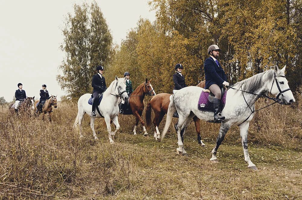 Аванпост конные прогулки. Усадьба середниково манеж. Конюшня веслево переславль-залесский. Кск рядом. Аванпост конюшня можайск.
