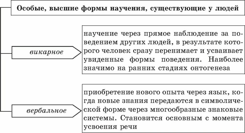 Викарное научение. Вербальное научение. Вербальное научение пример. Пример научения у человека. Викарное научение в психологии это.