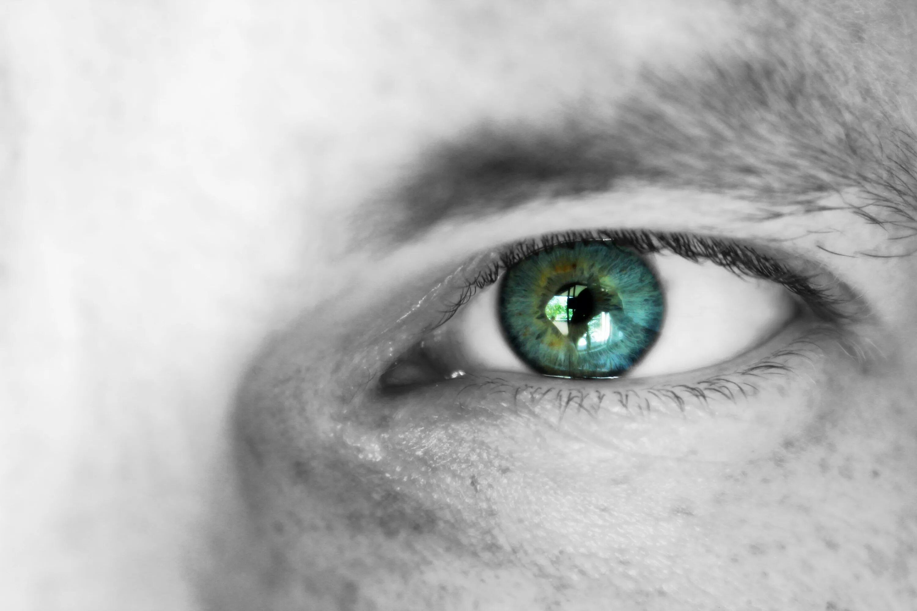 Люди серо зелеными глазами. Глаза мужские. Мужские глаза крупным планом. Серо голубые глаза мужские. Глаз мужской крупно.