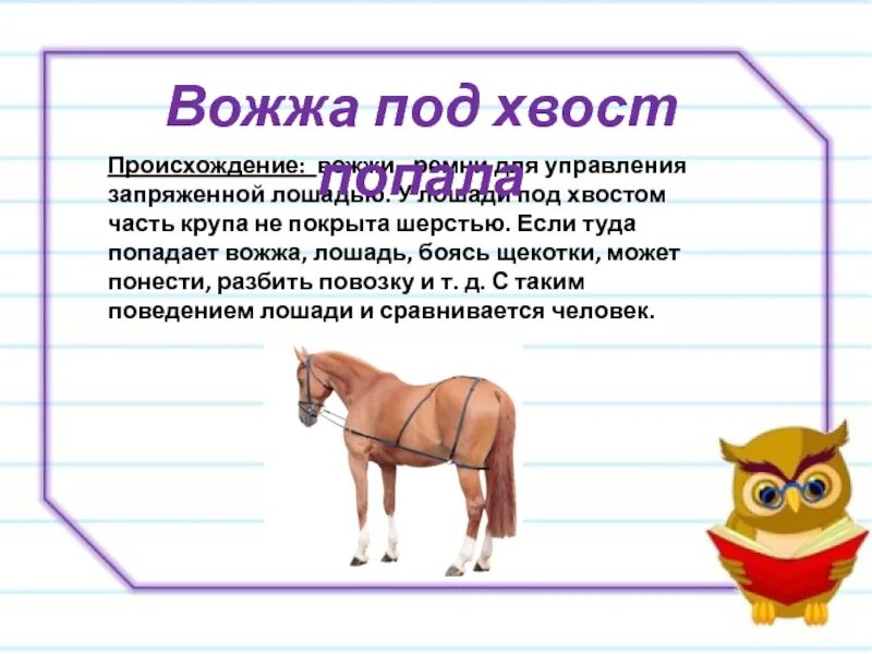 Хвост значение слова. Вожжа под хвост. Вожжа под хвост попала. Вожжа под хвост попала что значит. Вожжа под хвост попала значение фразеологизма.