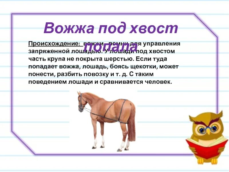 Вожжа под хвост. Вожжа под хвост попала значение. Вожжа под хвост попала значение фразеологизма. Шлея под хвост попала значение.