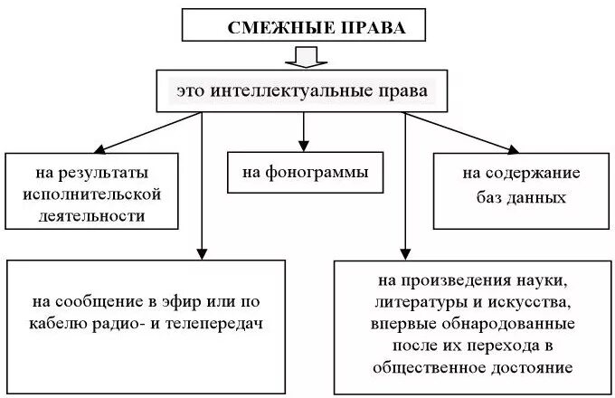 Объекты авторских и смежных прав. Составьте схему объекты авторских и смежных прав.. Классификация объектов смежных прав.