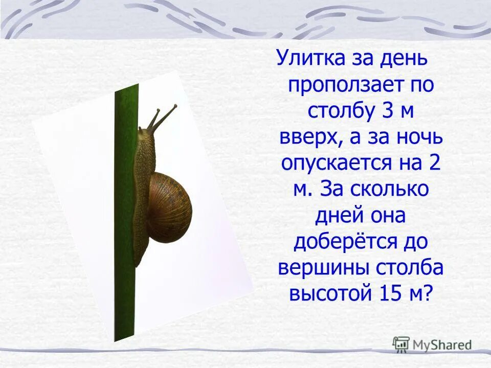 Сколько проползает улитка. В первый день улитка проползла 3м. Улитка проползет от одного. Задание улитка. Сколько проползает улитка.