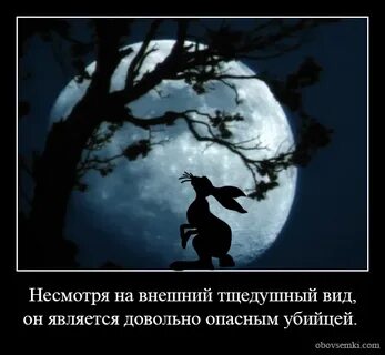 Тщедушный парень дохляк7 букв
