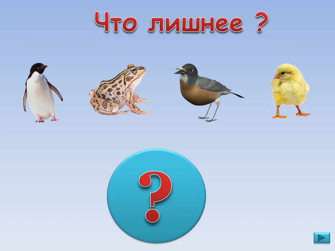 Лишний головоломка. Игра что лишнее. Угадай что лишнее. Загадка что лишнее. Игра что лишнее фото.