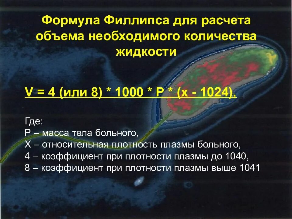 Заражение воды холерой в россии 2024. Холера статистика.