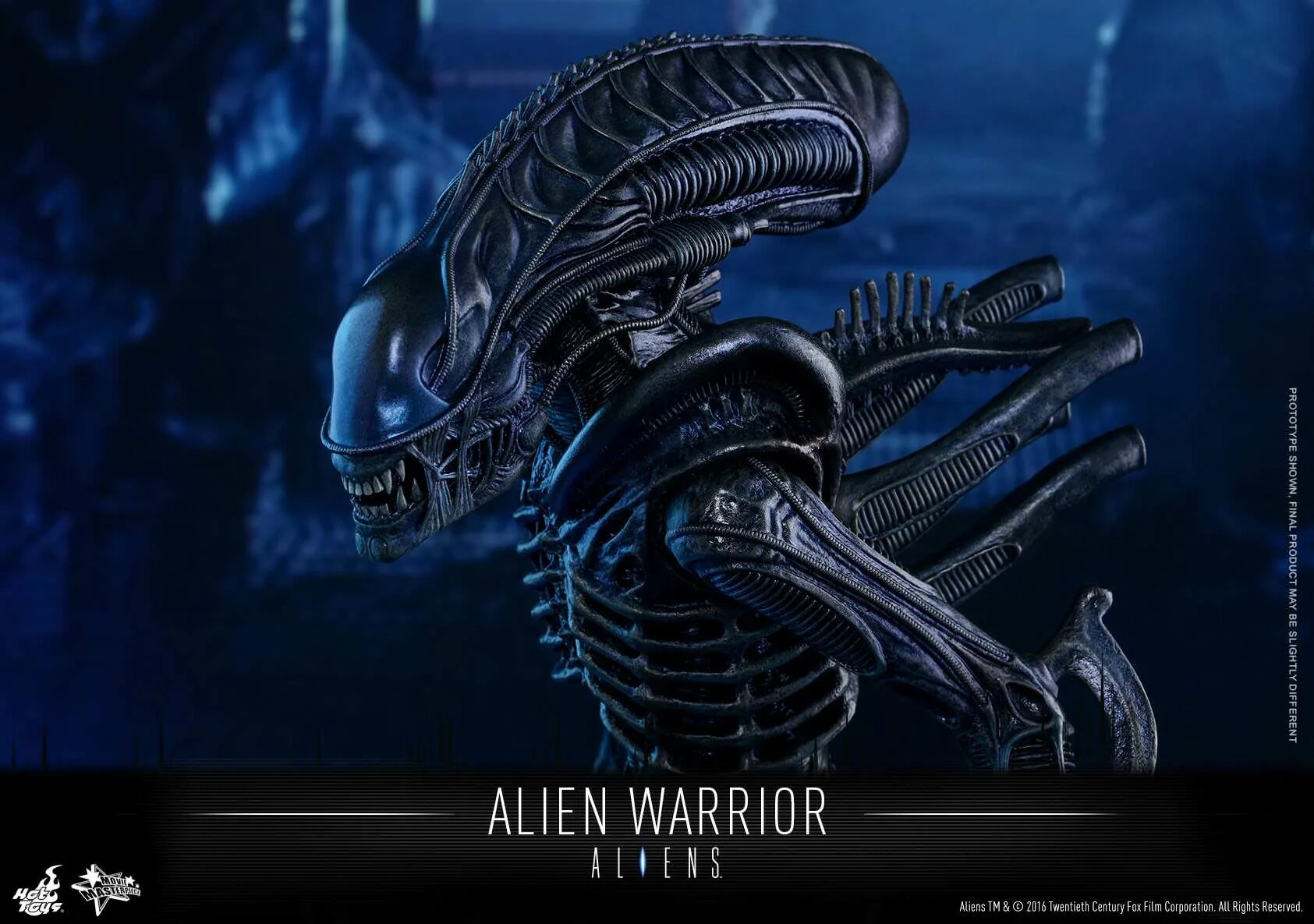 Xenomorph hot Toys. Hot Toys Alien Warrior. Alien vs Predator Colonial Marines Королева. Alien (Aliens) hot Toys. Чужой по английски