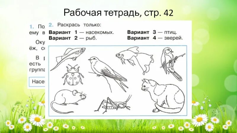 Тест разнообразие животных 3 класс плешаков. Какие бывают животные 2 класс. Задание на тему какие бывают животные. Карточки по окружающему миру. Задание по окружающему миру 2 класс животные.