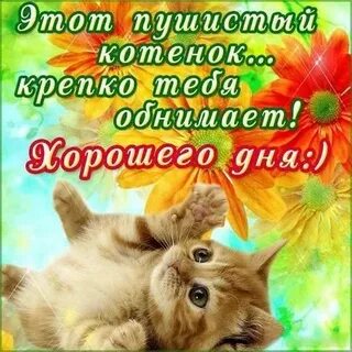 Пожелание хорошей работы любимому