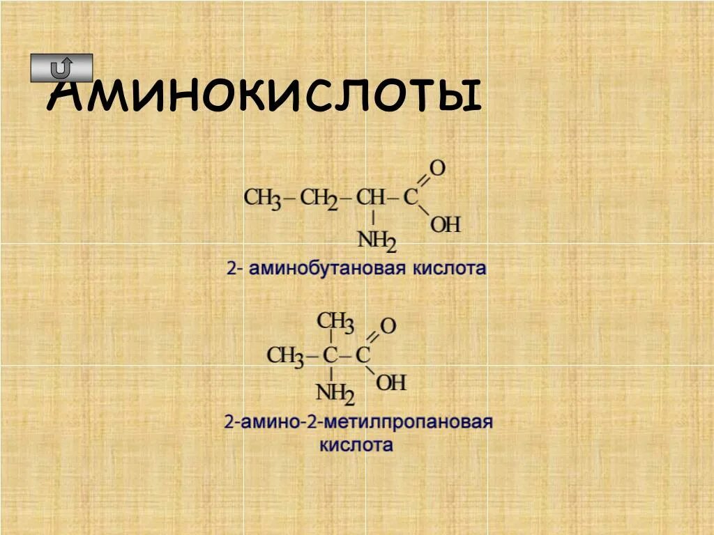 Формула 2 аминобутановой кислоты. 2 Амино 2 метилпропановая кислота. 3 Амино 2 метилпропановая кислота. Аминобутановая кислота. 3амино2метилпропановой кислоты.