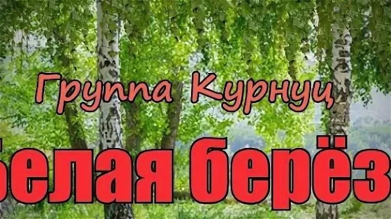 Береза есенин текст. Бесплатная песня белая береза. Бесплатная песня белая береза. Белая береза аккорды. Белая береза и кудрявый клен.
