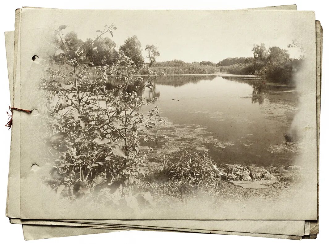 Тарусские страницы. Старинный фотоальбом. Старый фотоальбом. Рамки для фотографий под старину. Фотоальбом под старину.