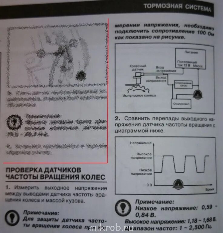 Ошибка абс ипсум. Ошибка абс ипсум