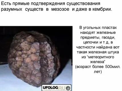 Человек живущий в железном легком