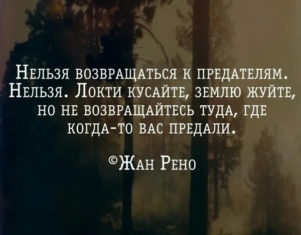 Никогда не возвращайтесь туда где. Нельзя возвращаться к предателям нельзя. Локти кусайте землю жуйте но не возвращайтесь туда. Цитаты землю жуйте. Нельзя возвращаться к предателям нельзя локти кусайте землю жуйте.