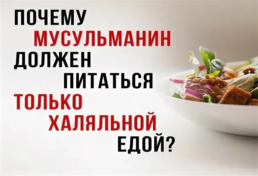 Почему мусульмане не едят днем