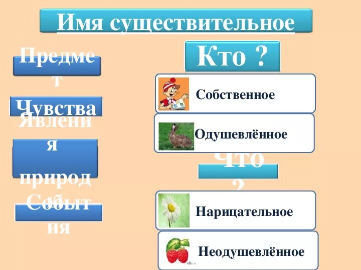 Собственные неодушевленные имена существительные примеры. Одушевленные неодушевленные собственные нарицательные. Собственное или нарицательное одушевленное или неодушевленное. Имя существительное неодушевленное собственное. Приведи пример собственных существительных