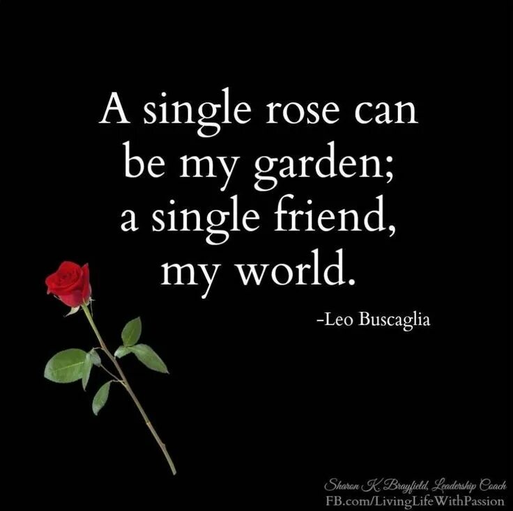 Single Rose. A Single Rose can be my Garden a Single friend, my World. Leo.