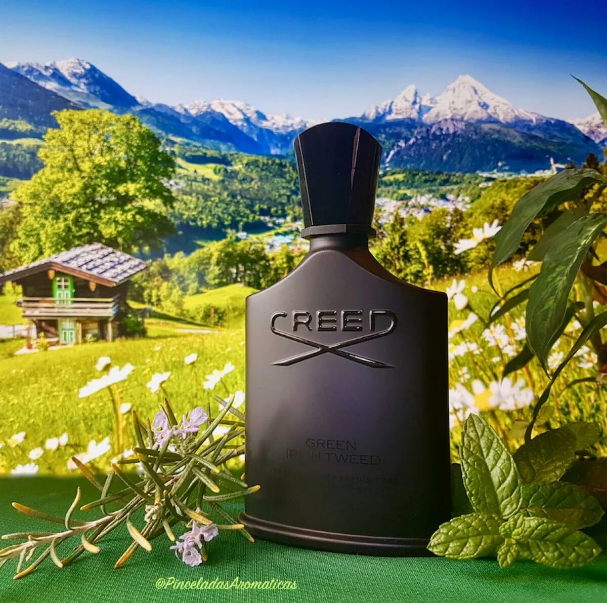 Creed green irish. Creed Irish. Айриш Грин. Green Irish Tweed. Green Irish Tweed Creed для мужчин описание аромата.