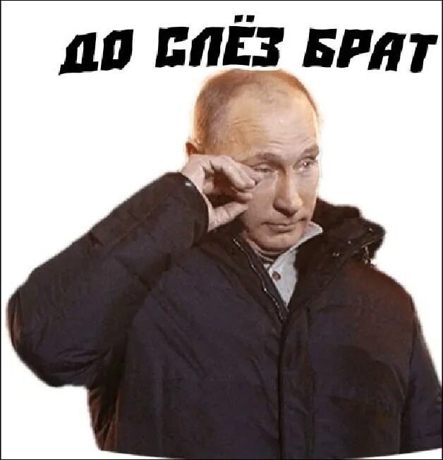 Мем с путиным новый год стикер ватсап Привет от Путина ( от @GT_TIGR ) набор стикеров для Telegram и WhatsApp