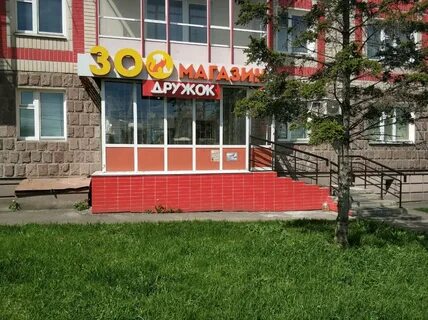 Зоомагазин дружок