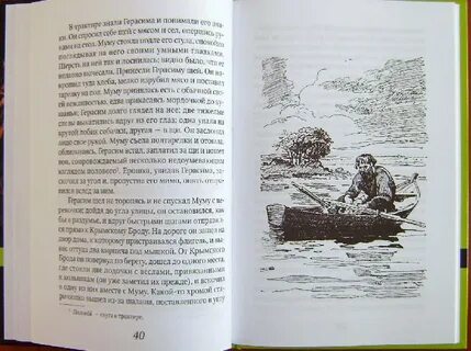 Книга муму 2