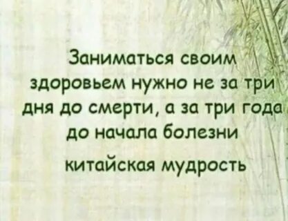 Здоровье мудрость