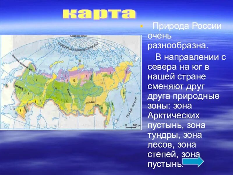 Последовательность природных зон с севера на юг. Природные зоны России с севера на Юг 4 класс окружающий мир. Природные зоны с севера на Юг 4 класс окружающий мир. Расположение природных зон России с севера на Юг. Природные зоны России с севера на Юг на карте.