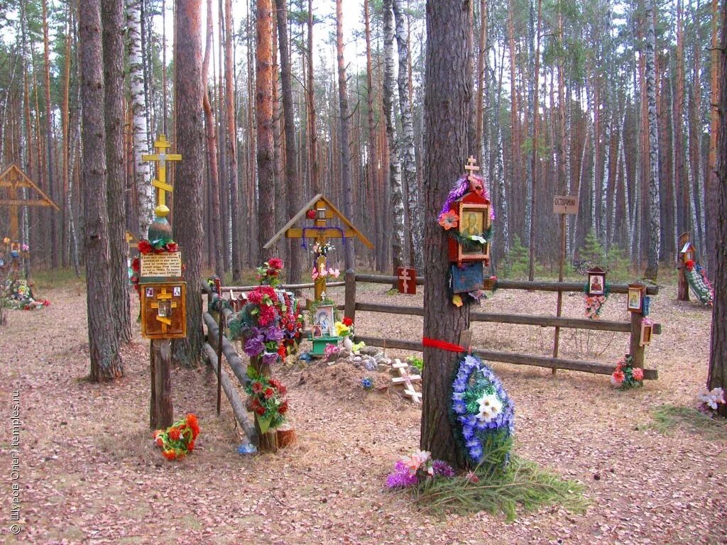 Деревня беливо орехово-зуевского. Погода беливо орехово зуевский. Деревня беливо орехово-зуевского. Погода беливо орехово зуевский. Погода беливо орехово зуевский.