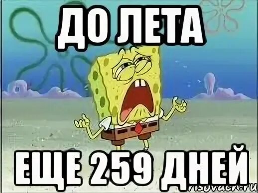 259 дней
