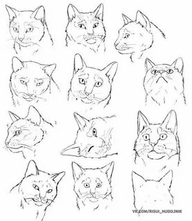 Рисовка кошки