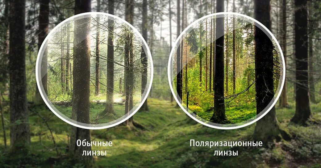 Поляризация в очках это