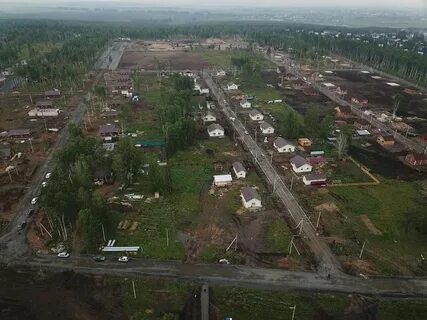 Тулун березовая роща