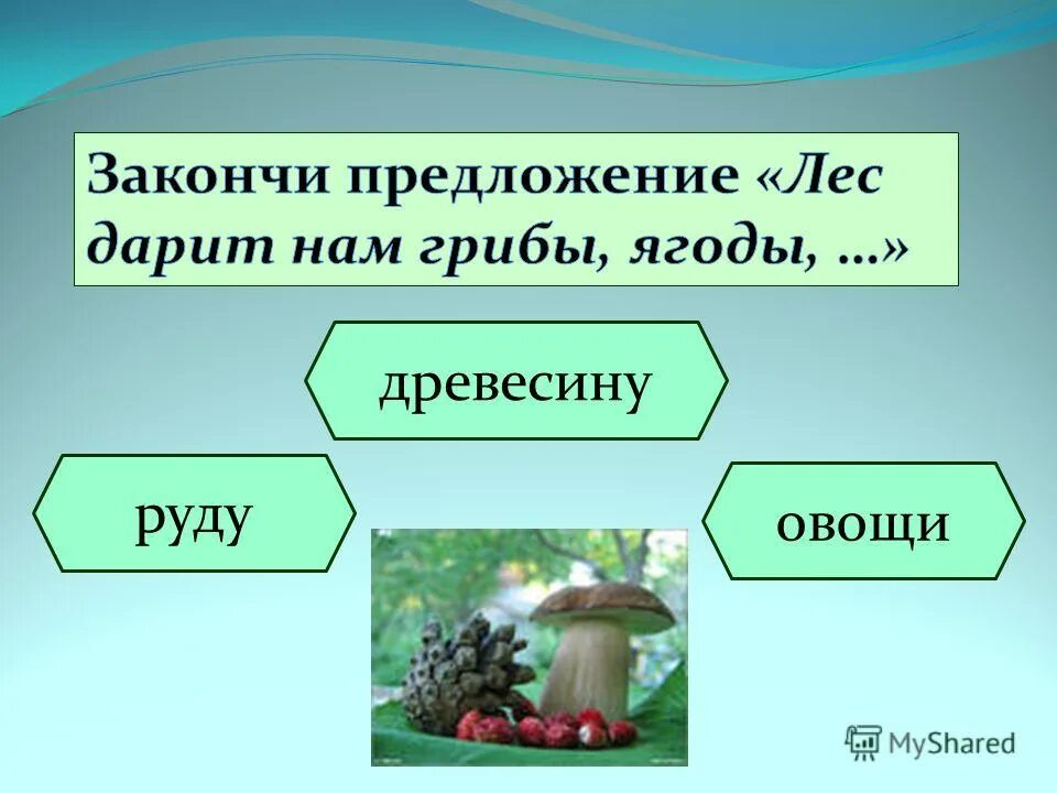 зайчик придумать предложение. быть в лесу предложения. быть в лесу предложения. правила поведения втприроде. предложение про лес.