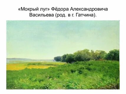 Мокрый луг