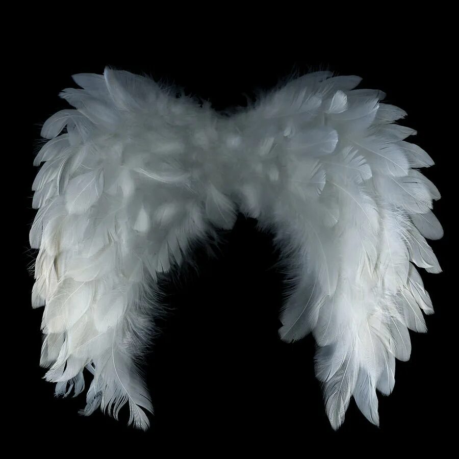 Крылья картинки. Крылья ангела. Ангел с крыльями. Крылышки ангела. Маленькие крылышки ангела.