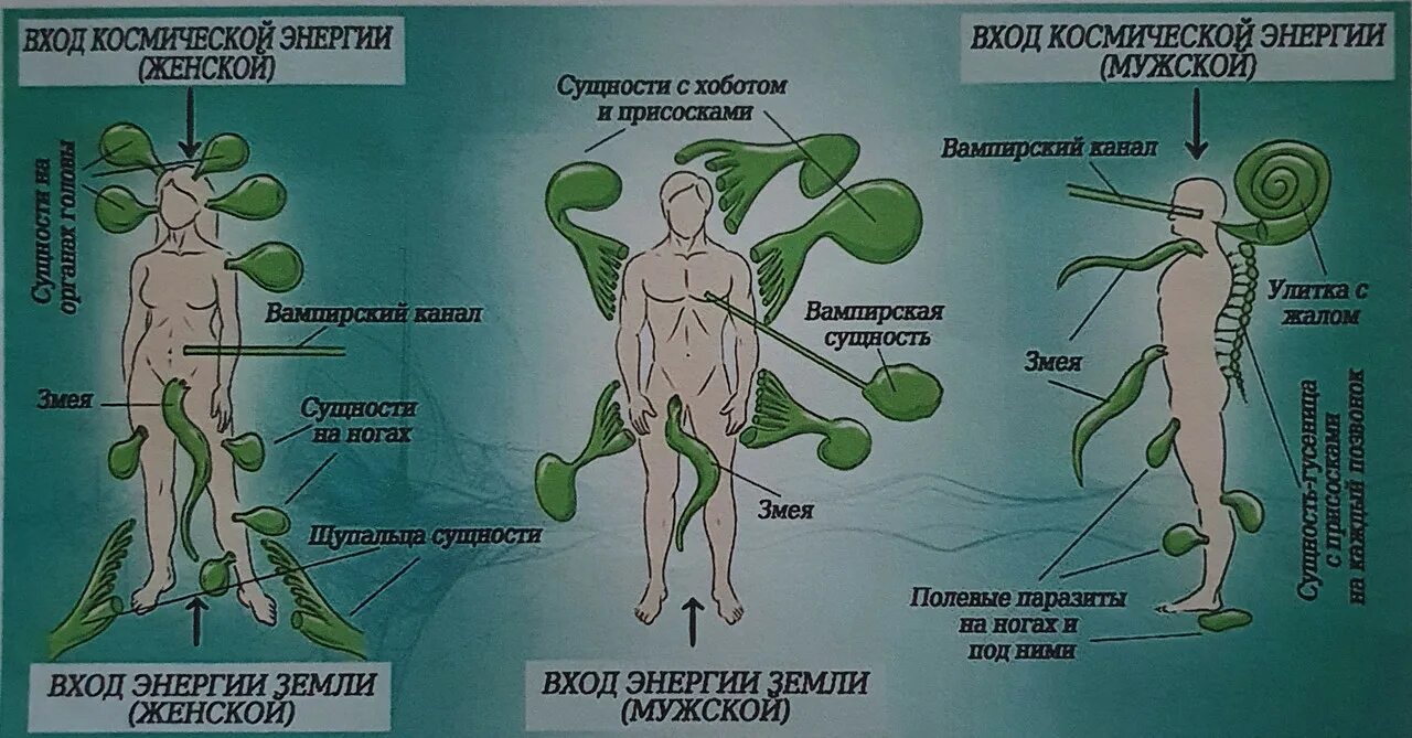 Называется сущностью учение сущности