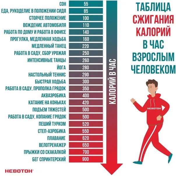 Ходьба 5 часов калории
