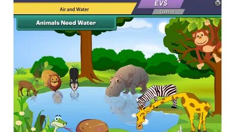 Animals need
