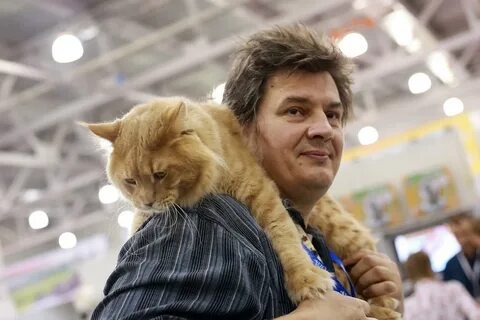 Кроме людей кошка