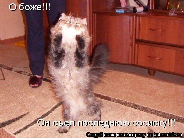 Мама я устала. Боже как я устал. Устал мем. Отдохни любимый ты устал. Я устала от вас.